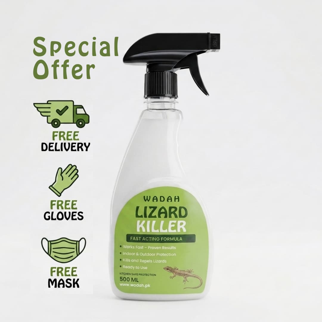 Lizard Killer Spray – No Smell | Free Shipping